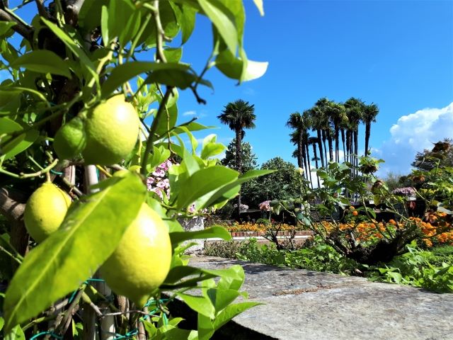 Irrtümer über den Lago Maggiore Aufmacher 2 bearbeitet klein