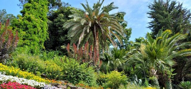 Villa Carlotta am Comer See: Lohnt sich der botanische Garten?