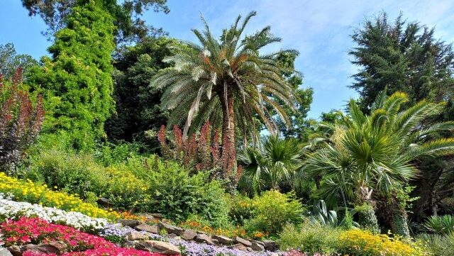 Villa Carlotta am Comer See: Lohnt sich der botanische Garten?