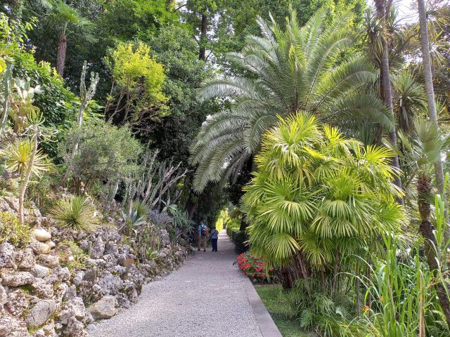 Villa Carlotta am Comer See Bild 10 bearbeitet klein / Rund um den Comer See erwarten dich zahlreiche weitere sehenswerte botanische Gärten.