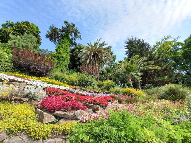 Villa Carlotta am Comer See Bild 5 bearbeitet klein / Ein Paradies auf Erden: der botanische Garten Villa Carlotta am Comer See.