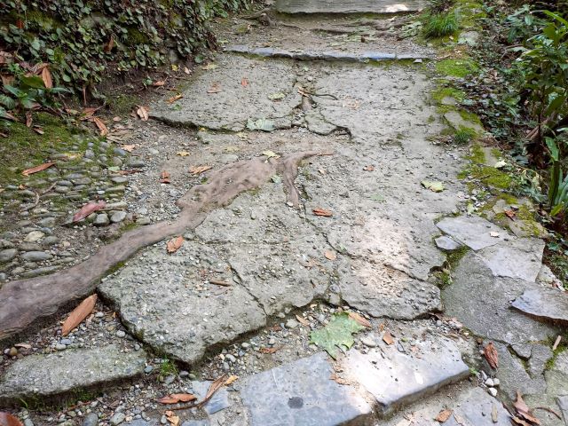 Villa Carlotta am Comer See Bild 7 bearbeitet klein / Leider nicht barrierefrei: die Wege im botanischen Garten der Villa Carlotta am Comer See.