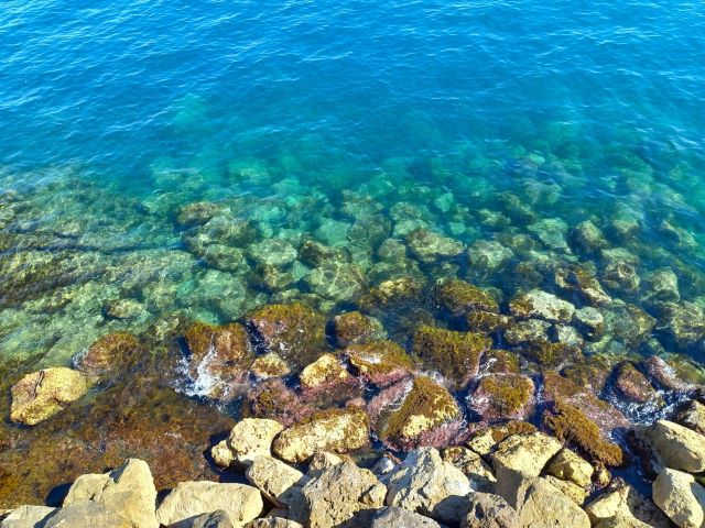 Tagesausflug nach Monaco Bild 7 bearbeitet klein