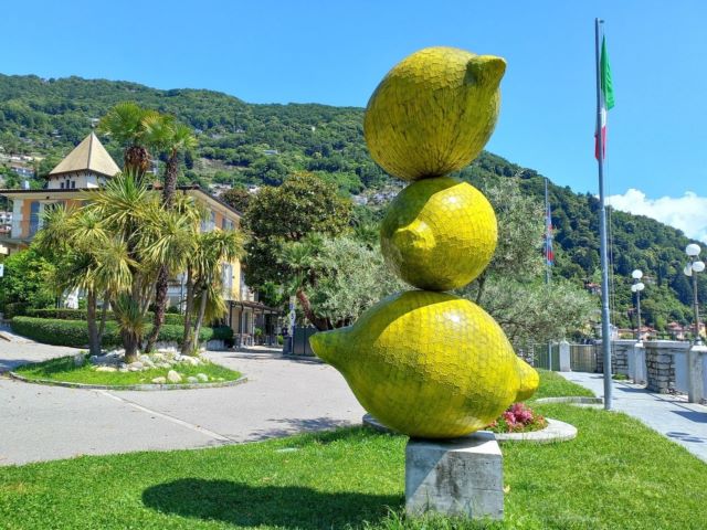 Zitronen an der Uferpromenade in Cannero Riviera